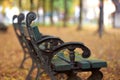 Empty bench in an autumn park Royalty Free Stock Photo