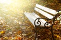 Empty bench autumn park Royalty Free Stock Photo