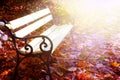 Empty bench autumn park Royalty Free Stock Photo