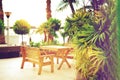 Empty bench on beach walkway. Sunny rest area. Tropical green palm trees background. Sun light effect and sunny bokeh