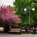 Empty bench