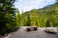 Empty Wooden Bench in a Forest under Cloudy Sky in Summer Royalty Free Stock Photo