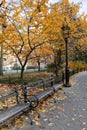 Empty Bench with Colorful Trees during Autumn at Washington Square Park in New York City Royalty Free Stock Photo
