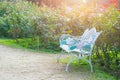 Bench in the flower garden green park. Royalty Free Stock Photo