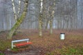 Foggy November morning in Europe.Empty bench