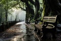 Empty Bench in forest after raining. Generative AI Royalty Free Stock Photo