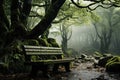Empty Bench in forest after raining. Generative AI Royalty Free Stock Photo