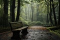 Empty Bench in forest after raining. Generative AI Royalty Free Stock Photo