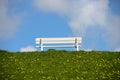 Empty bench on green Royalty Free Stock Photo