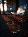 Empty Bench Illuminated by Sunset Light Evokes Bittersweet Emotions and Reflections in a Tranquil Setting Royalty Free Stock Photo