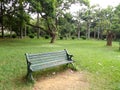 Empty bench inside botanical garden Royalty Free Stock Photo