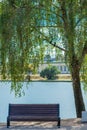 Empty bench by a lake in a public park Royalty Free Stock Photo