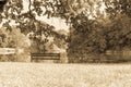 Empty bench on the lake shore. Picture of loneliness, but also of peace. Royalty Free Stock Photo