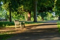 An empty bench in Marble Hill park in Twickenham