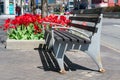 Empty Bench next to Beautiful Red Tulips during Spring in Long Island City Queens New York Royalty Free Stock Photo