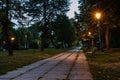 Empty bench at night in the park Royalty Free Stock Photo