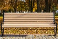 Empty bench in the park in autumn on a sunny day. Single ribbed bench outdoors in yellow fall foliage. Royalty Free Stock Photo