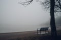 Empty bench at park near pond by foggy day Royalty Free Stock Photo