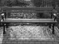 Empty bench in the park wintertime black and white furniture
