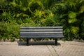Empty bench in park - wooden bench in tropical garden Royalty Free Stock Photo