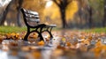 Empty bench on a quiet park pathway surrounded by fallen leaves under an overcast sky Royalty Free Stock Photo