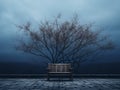 an empty bench sitting in front of a tree