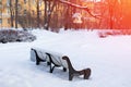 Empty bench in snow-covered winter park in front of yellow building, bird feeder hanging in tree branch above it and sun glare Royalty Free Stock Photo