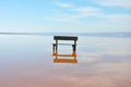 Empty bench standing in the middle of the water