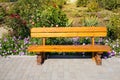 Empty bench on the street outside in the summer park. Urban background. Rest and relaxation Royalty Free Stock Photo