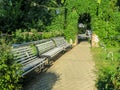 Empty bench on the street outside in the summer park. Urban background. Rest and relaxation Royalty Free Stock Photo