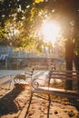 Empty bench in the sunny golden rays in yellow colorful autumn park