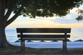 Empty Bench with a tree on the background of the sea at sunrise Royalty Free Stock Photo