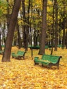 Empty bench in urban park Royalty Free Stock Photo