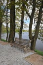 Empty bench by the water Royalty Free Stock Photo