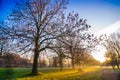 Empty Bench at a winter Sunrise Royalty Free Stock Photo