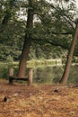 Empty bench in the woods near the lake. Wooden bench on the riverbank. Autumn forest landscape. Tranquil scenery of autumn park. Royalty Free Stock Photo