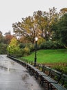 Empty benches in Central Park Royalty Free Stock Photo