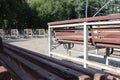 Empty benches rows in the park on the street in summer without visitors coronavirus pandemic Royalty Free Stock Photo