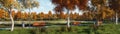 Empty benches and trees on pathway in autumn park