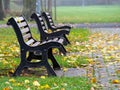 Empty park bench in autumn Royalty Free Stock Photo