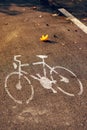 Empty bicycle street lane on autumn morning