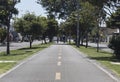 an empty bike path in middle of big trees on sunny day during bogota no car day event