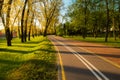 Empty bike path route infrastructure early in the spring sunny morning. No people in the park, green grass, trees and blue sky. Royalty Free Stock Photo