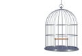 Empty bird chromium cage Isolated on white background Royalty Free Stock Photo