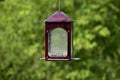 Almost Empty Bird Feeder With Copy Space Royalty Free Stock Photo
