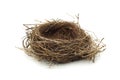 Empty bird nest Royalty Free Stock Photo