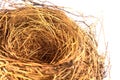 Empty Bird Nest Royalty Free Stock Photo