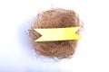 Empty bird nest with colorful ribbon Royalty Free Stock Photo