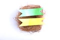 Empty bird nest with colorful ribbon Royalty Free Stock Photo