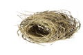 Empty bird nest isolated on white background Royalty Free Stock Photo